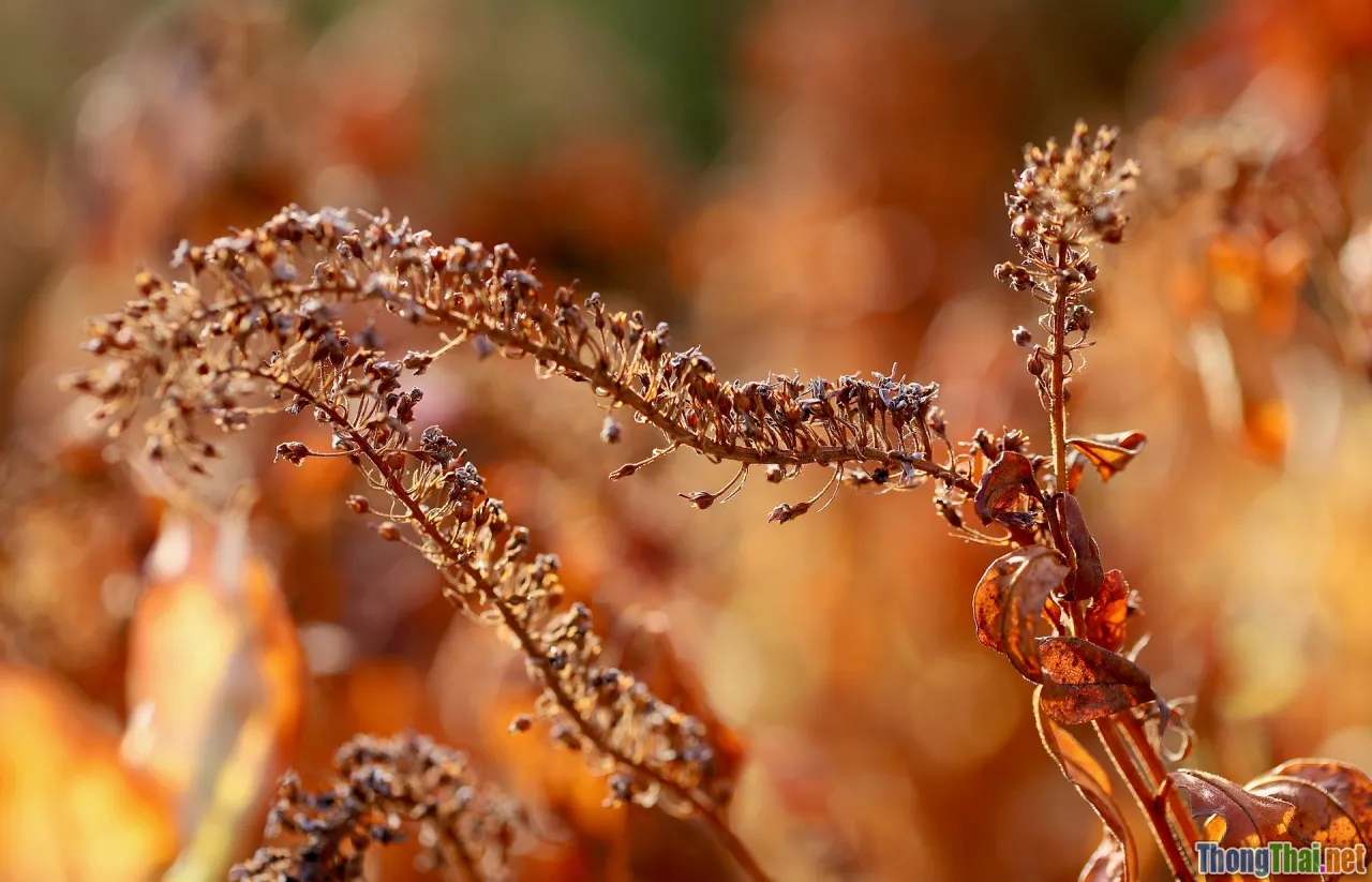 fall colors, autumn outfit, color palette