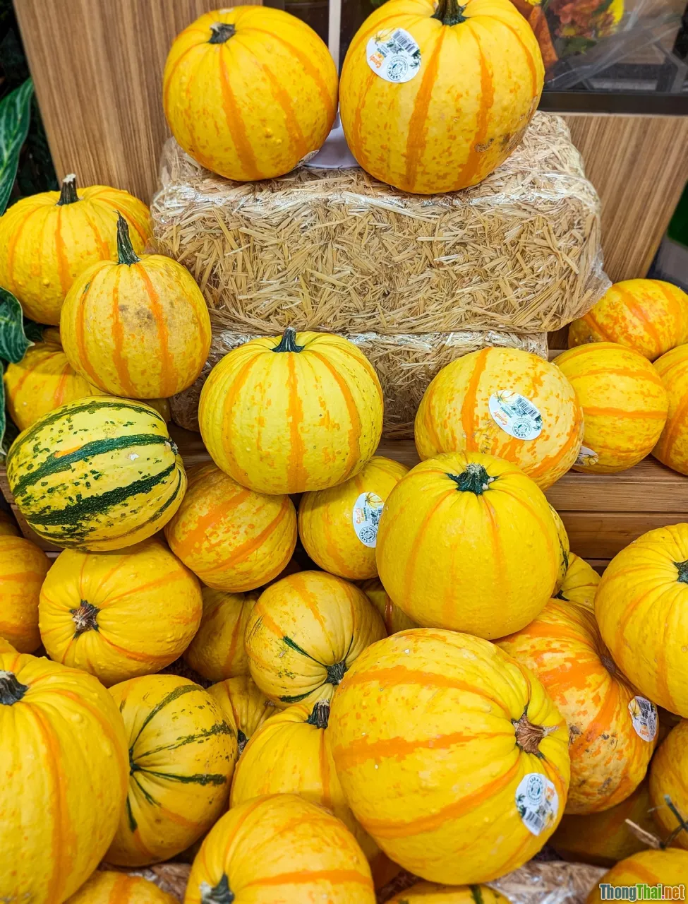 family legacy, heirloom, inheritance