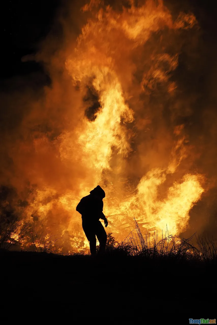 firewall, cybersecurity, defense