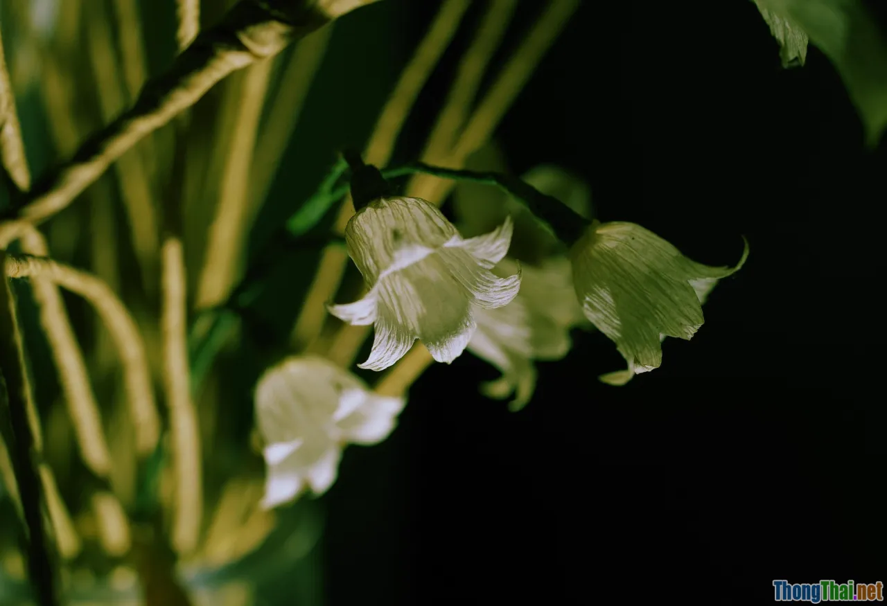 fresh flowers, dried florals, selection, handmade bouquet