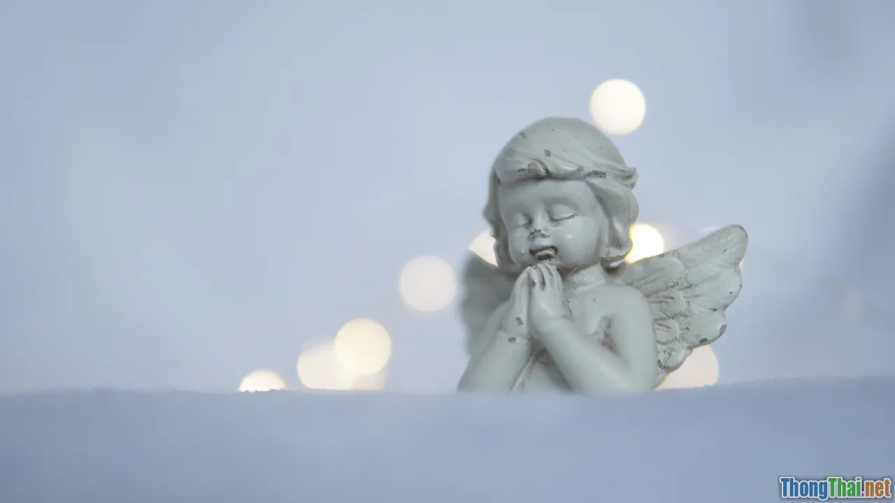 Vì sao biết ơn mỗi ngày lại giúp bạn sống hạnh phúc hơn