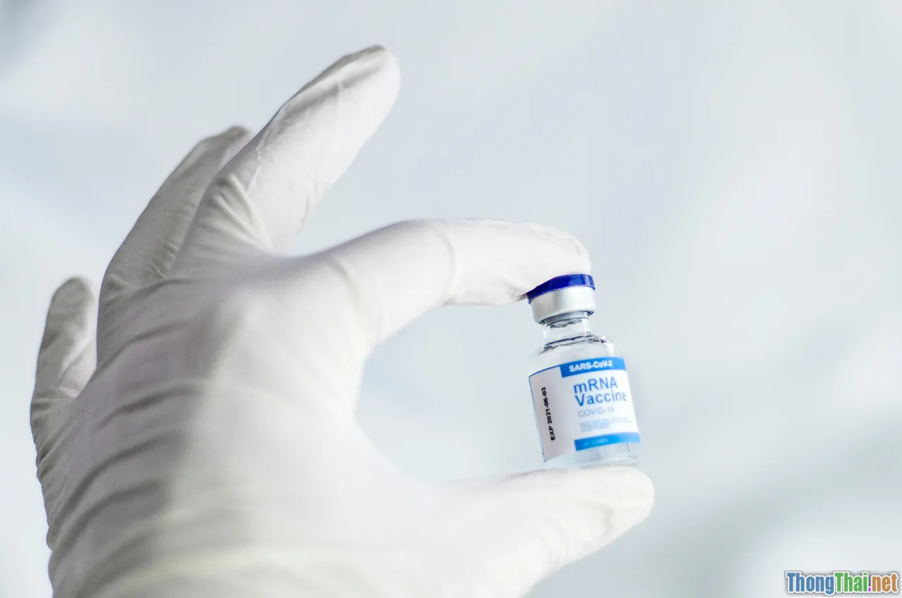 health team, vaccine education, action guide