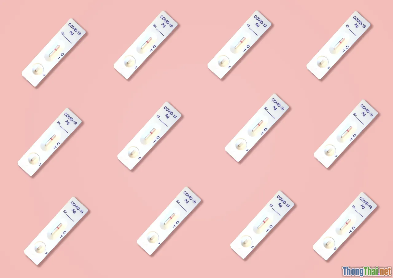 healthcare consultation, elderly couple test, result explanation