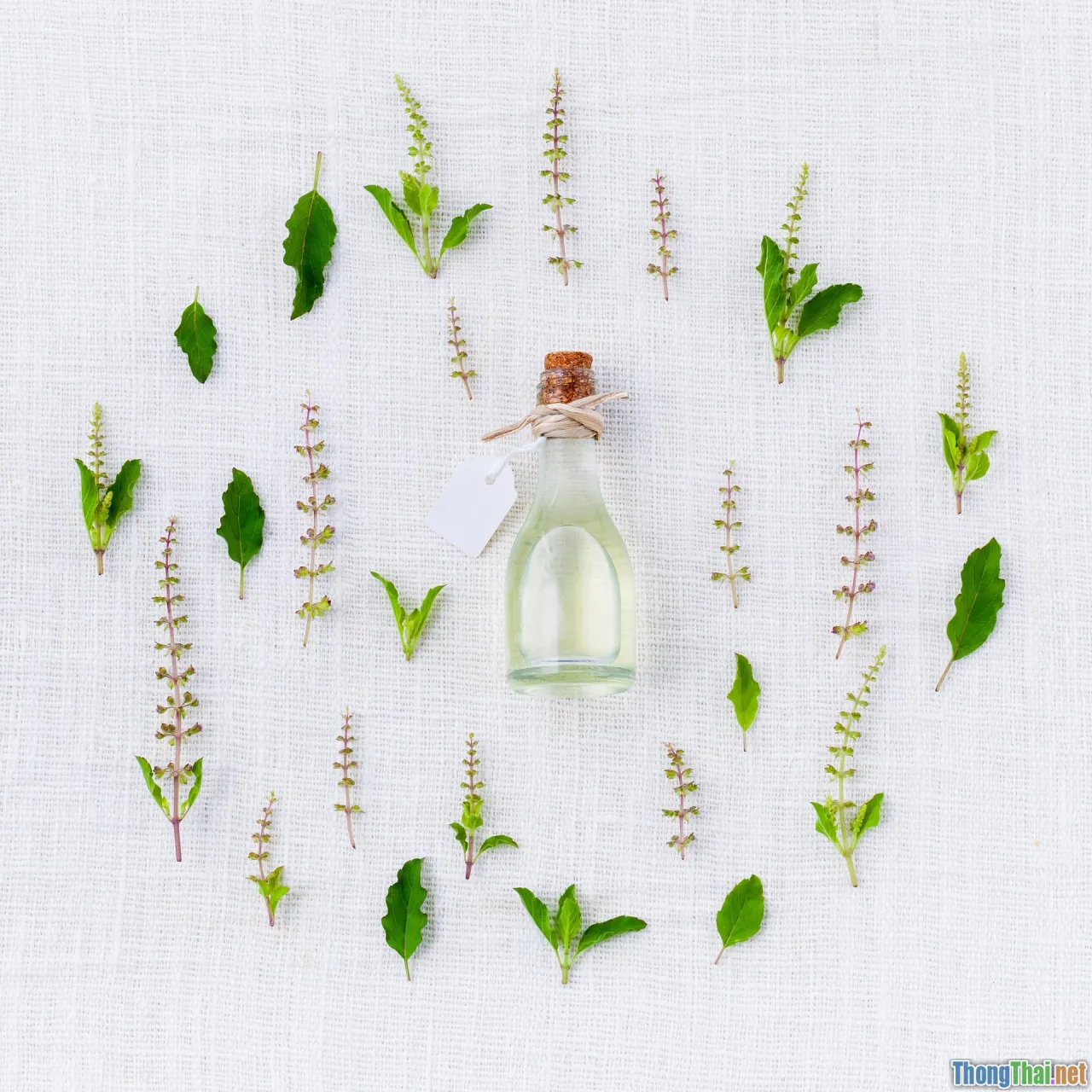 healthy hair, herbal haircare