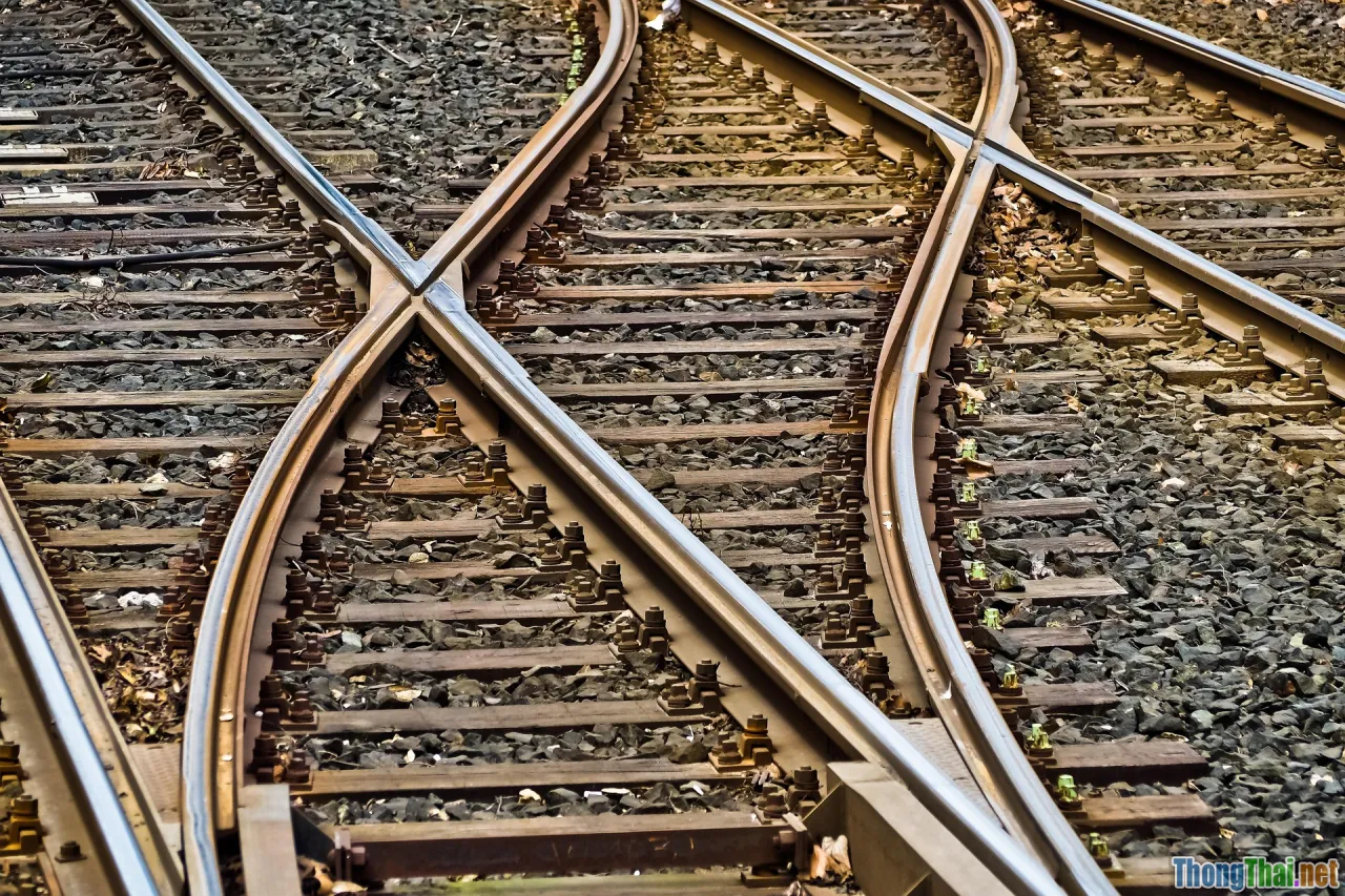 hybrid garden, wicking bed, dual system