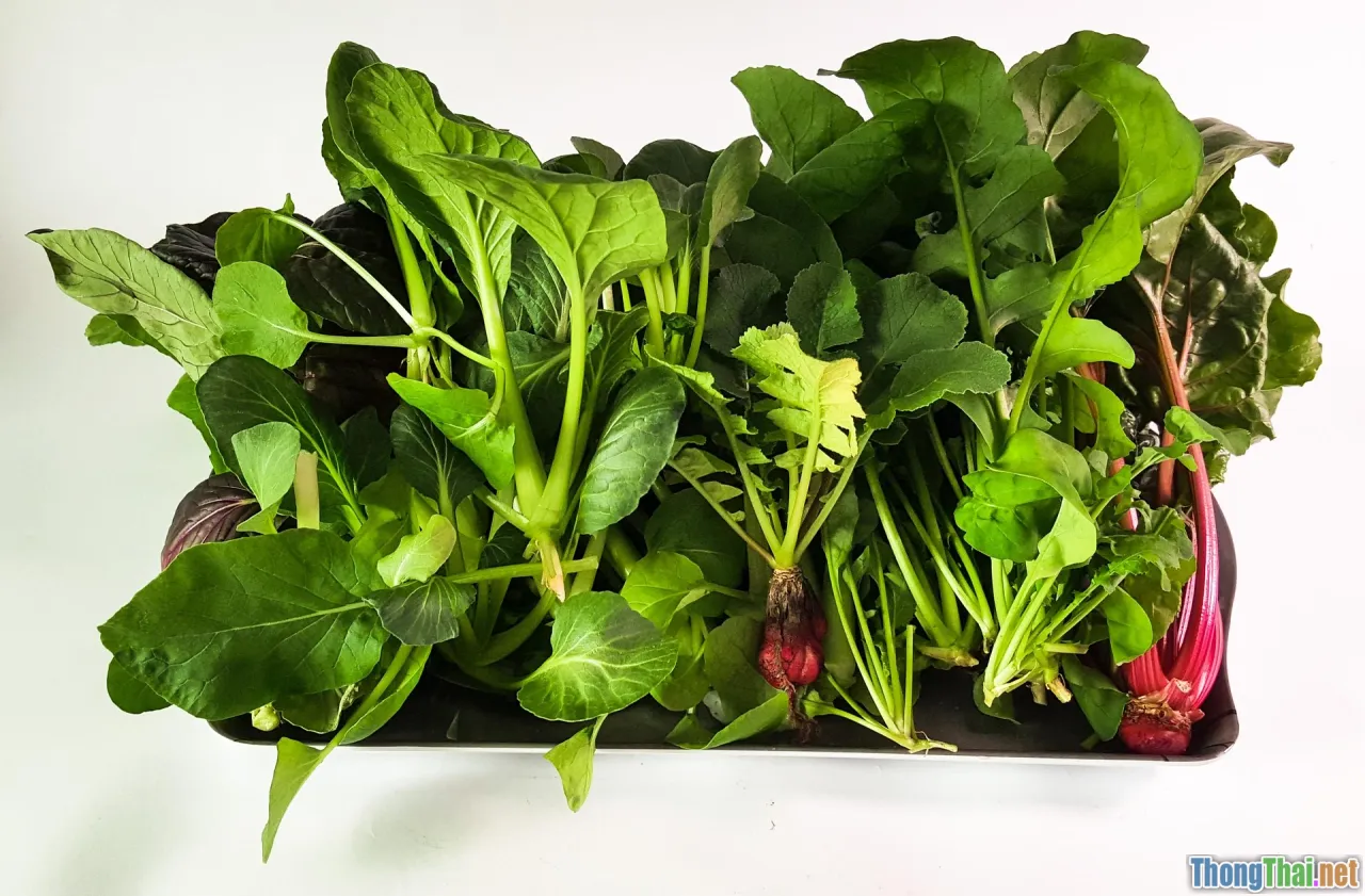 hydroponic plant treatment, quick fix