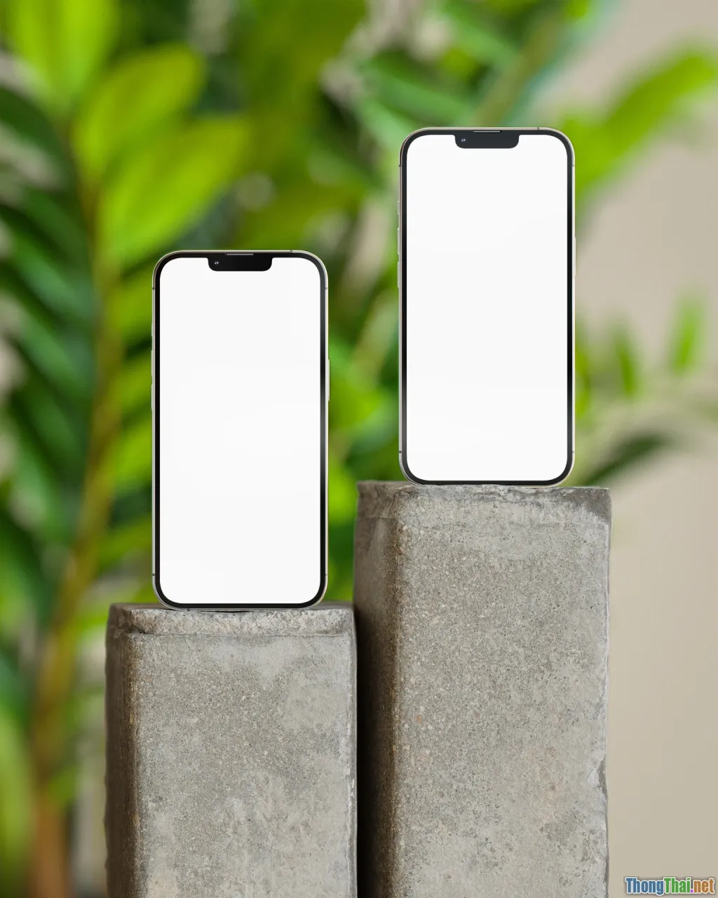 identity, unique branding