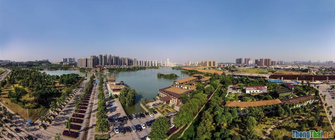 infinitive, verbs, intentions