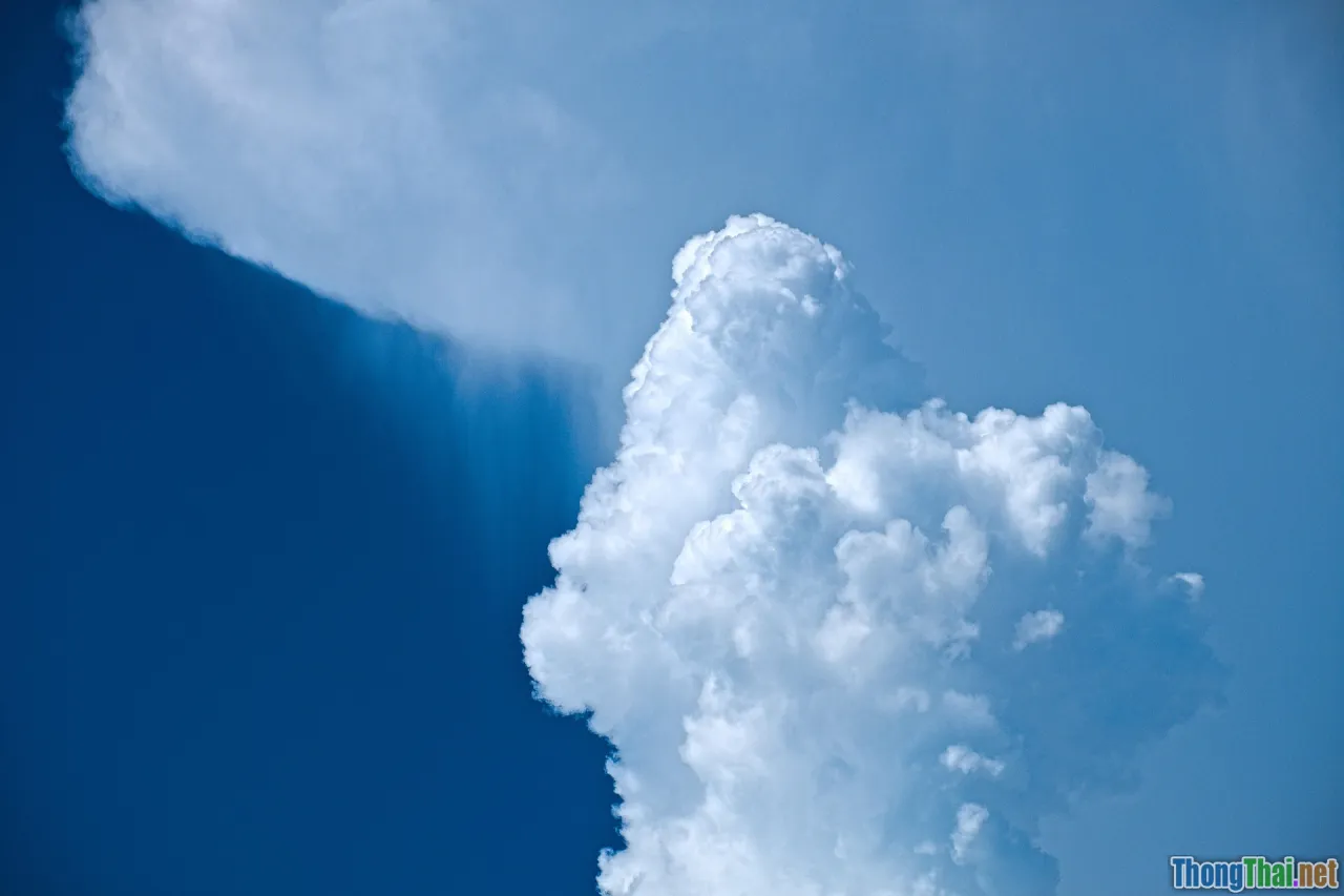 insider threat, corporate espionage, betrayal