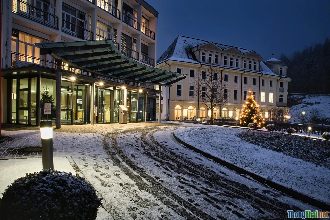 jungle lodge, bungalow accommodation, eco hotel