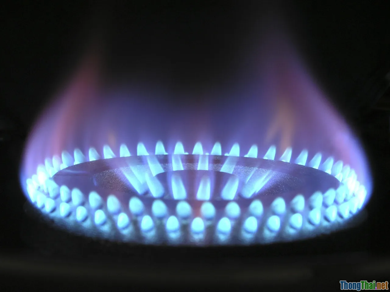 kitchen appliances, cooking efficiency, energy saving