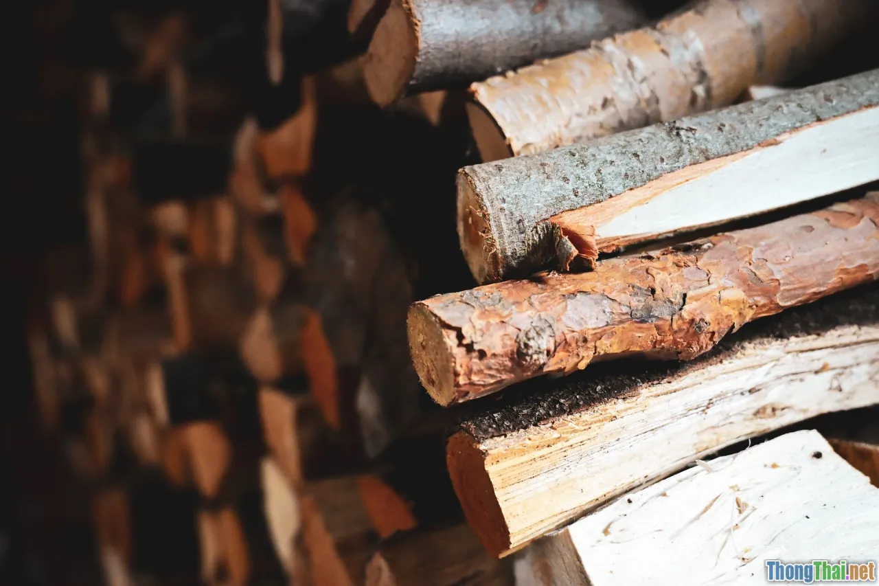 lakeside cabin, fireplace, rainy resort, cozy bed