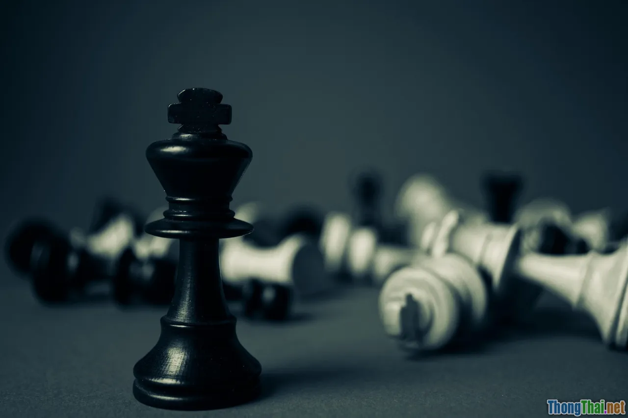 learning art, chess, mastery, focus