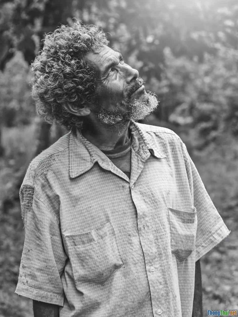 life meaning, contemplation