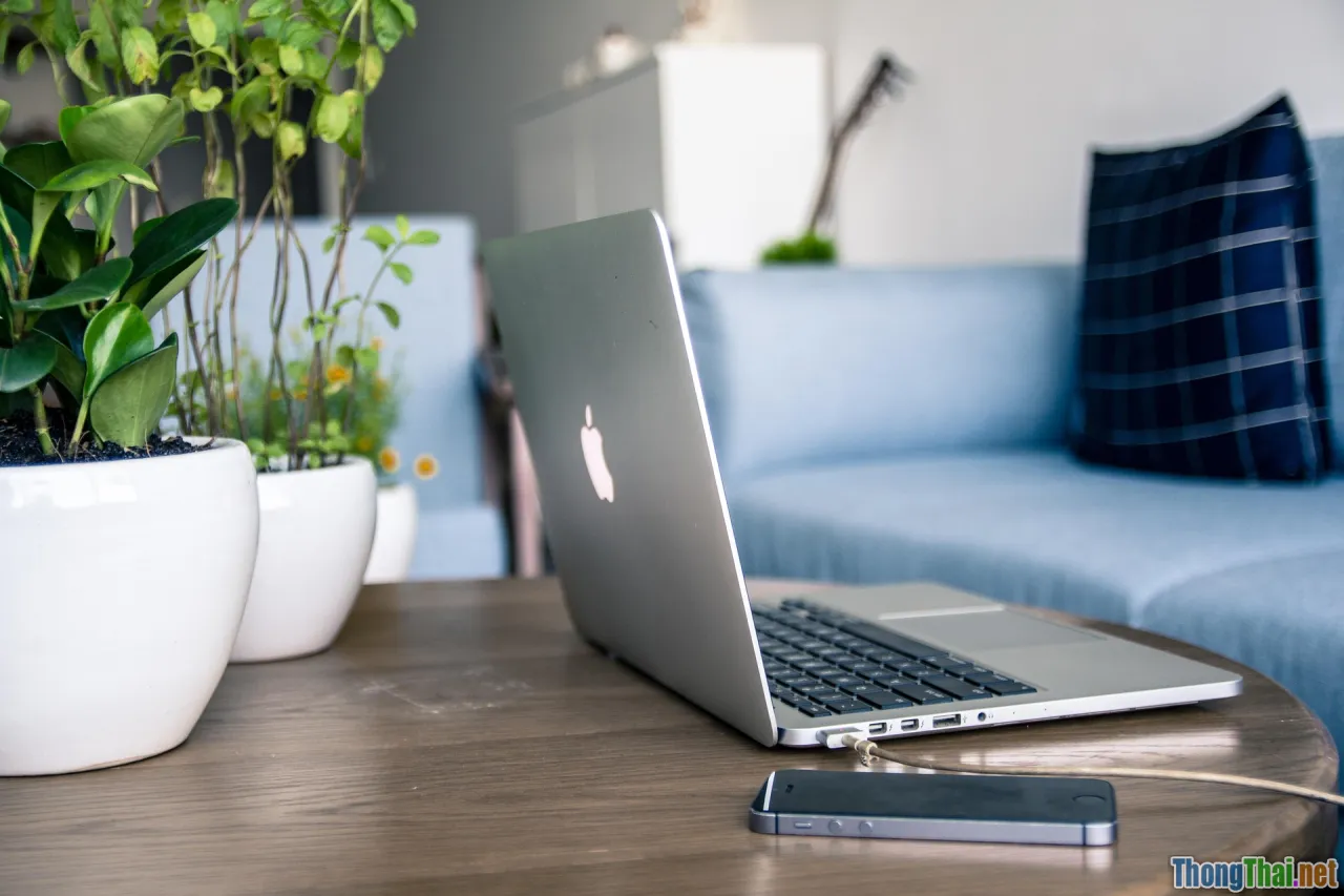 livestream setup, home studio, ring light, smartphone tripod