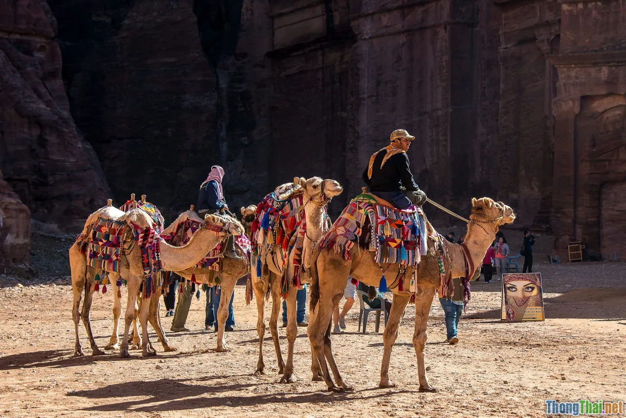 Xu hướng sử dụng công nghệ bảo vệ đặc sản vùng miền