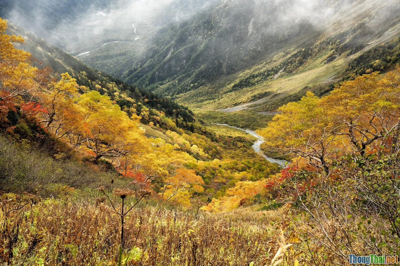 longevity, japan elderly, blue zones