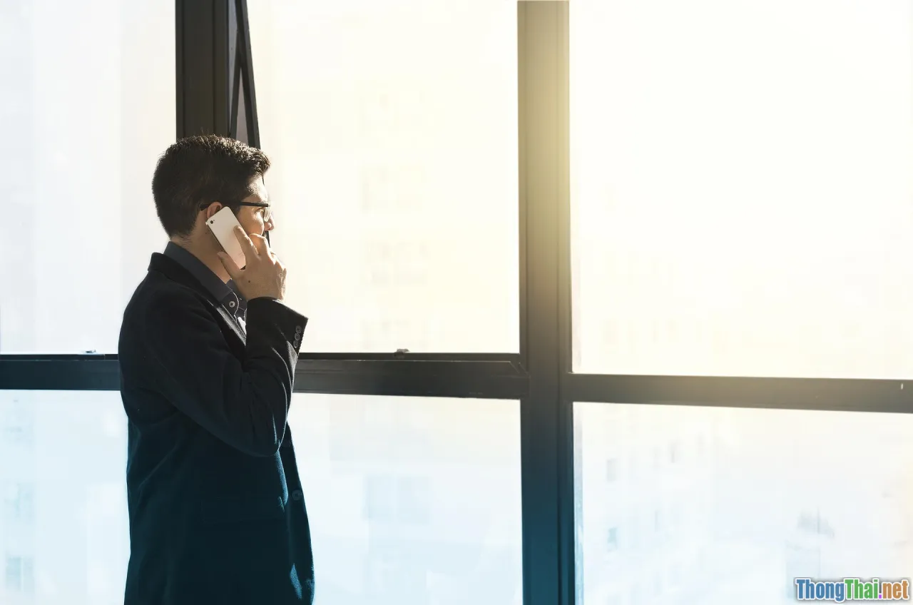 longevity, plant cells, meristem, antioxidants