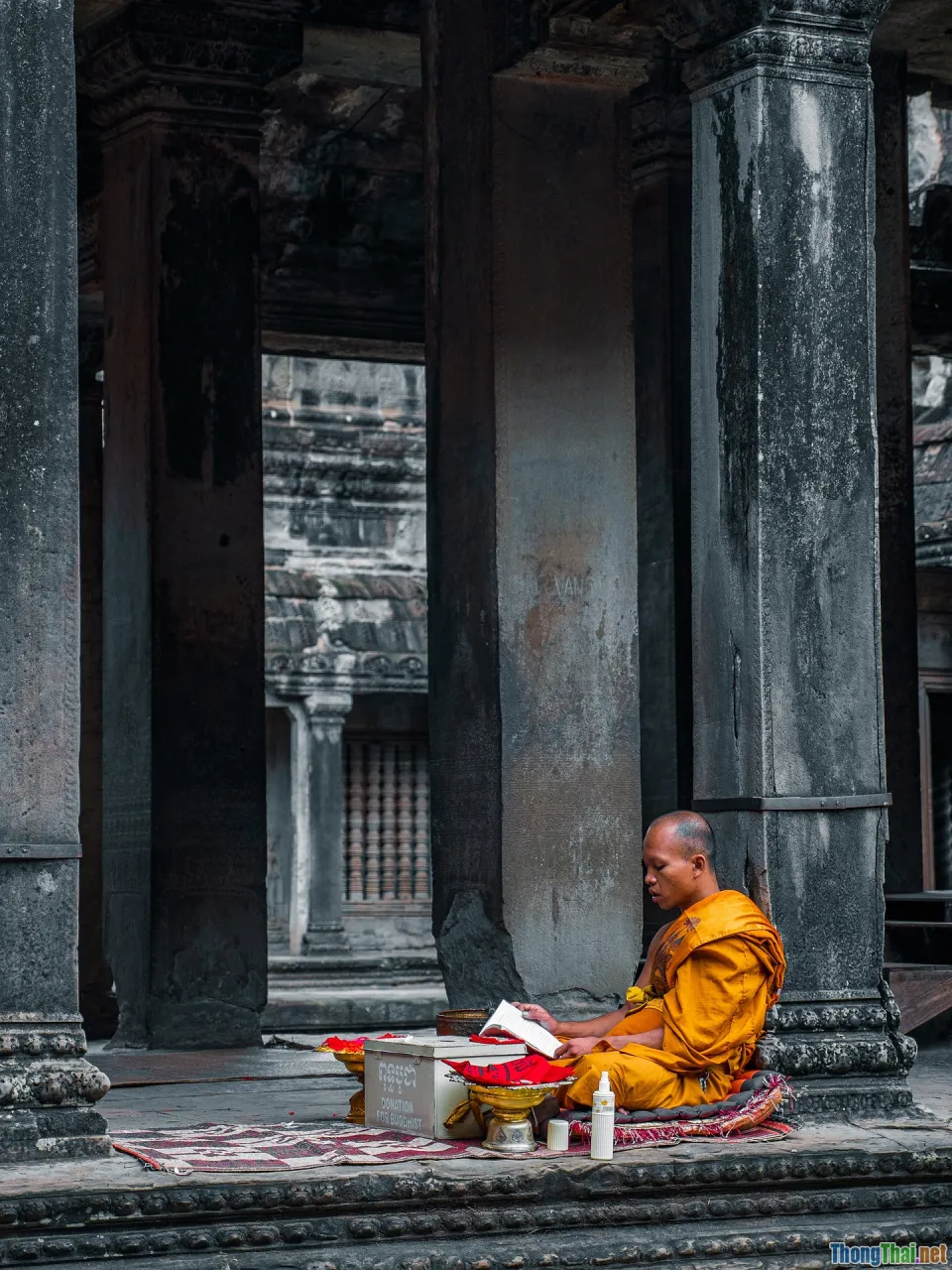 meditation literature, life stories, zen culture