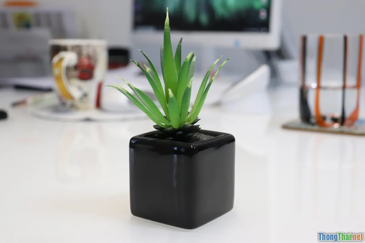 minimalist interior, small space