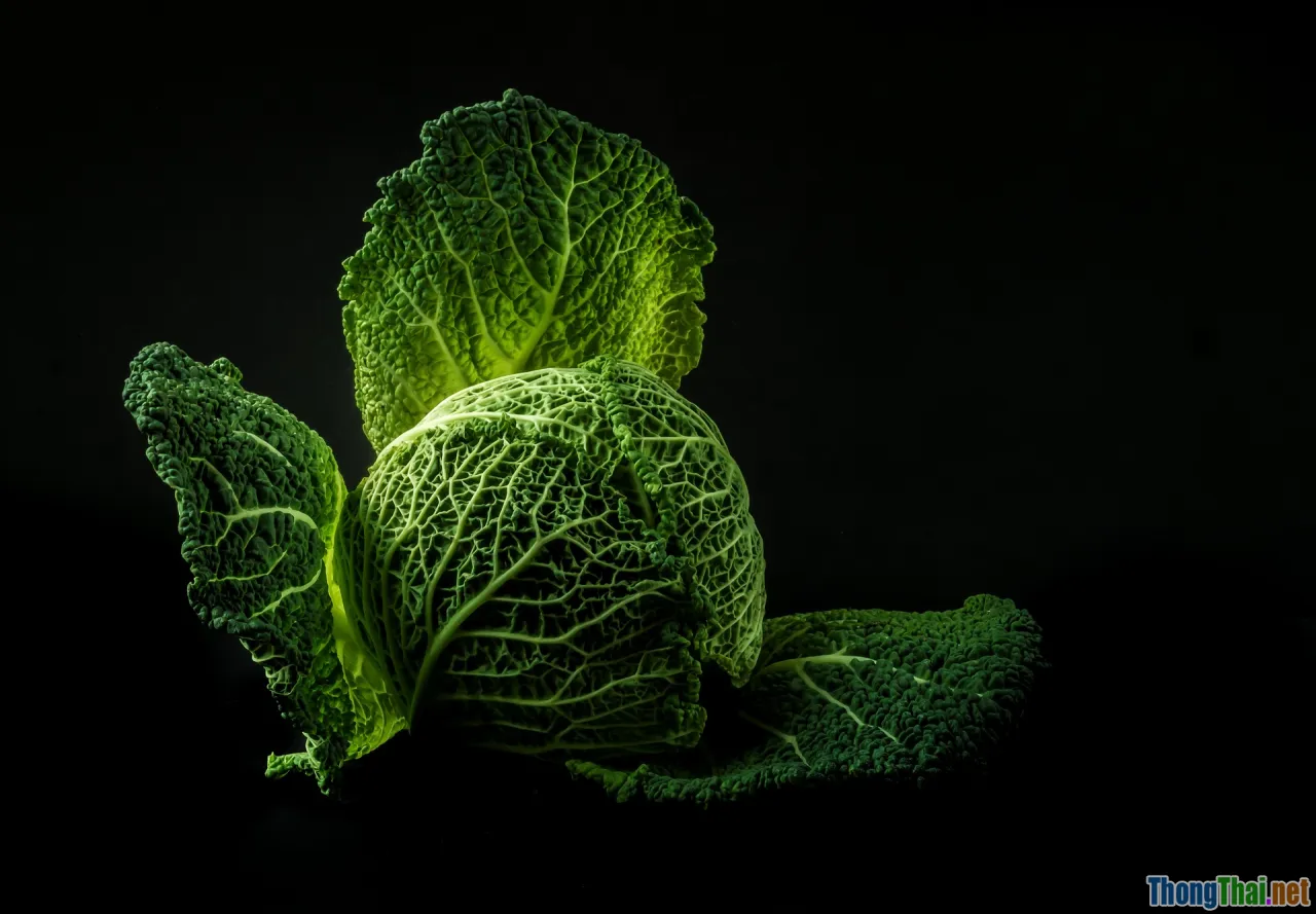 mistakes, spoiled vegetables, food waste