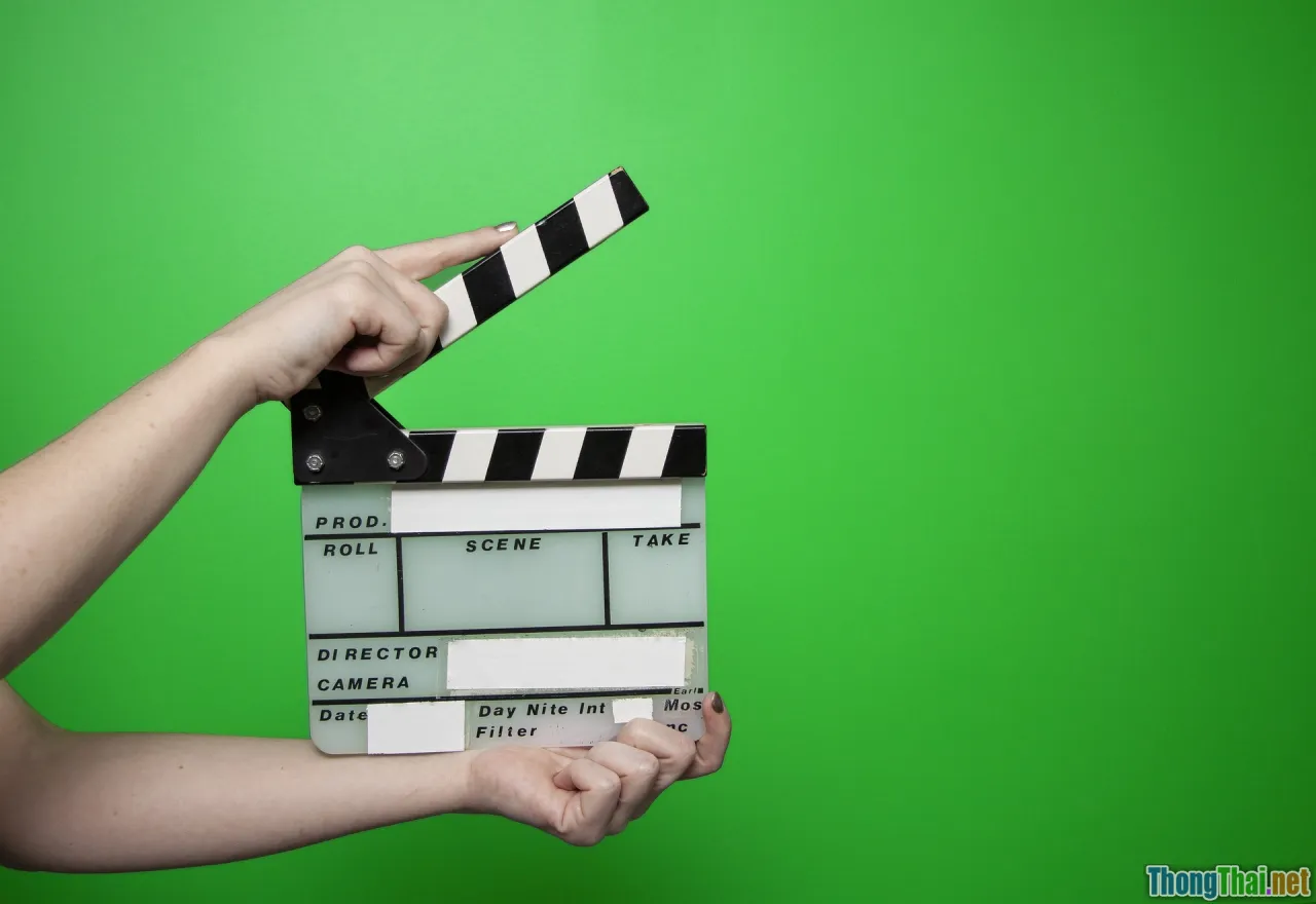 movie styles, comparison, directors