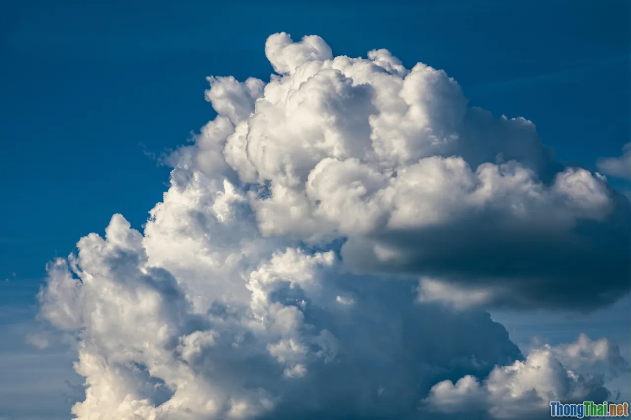 moving company, full service move