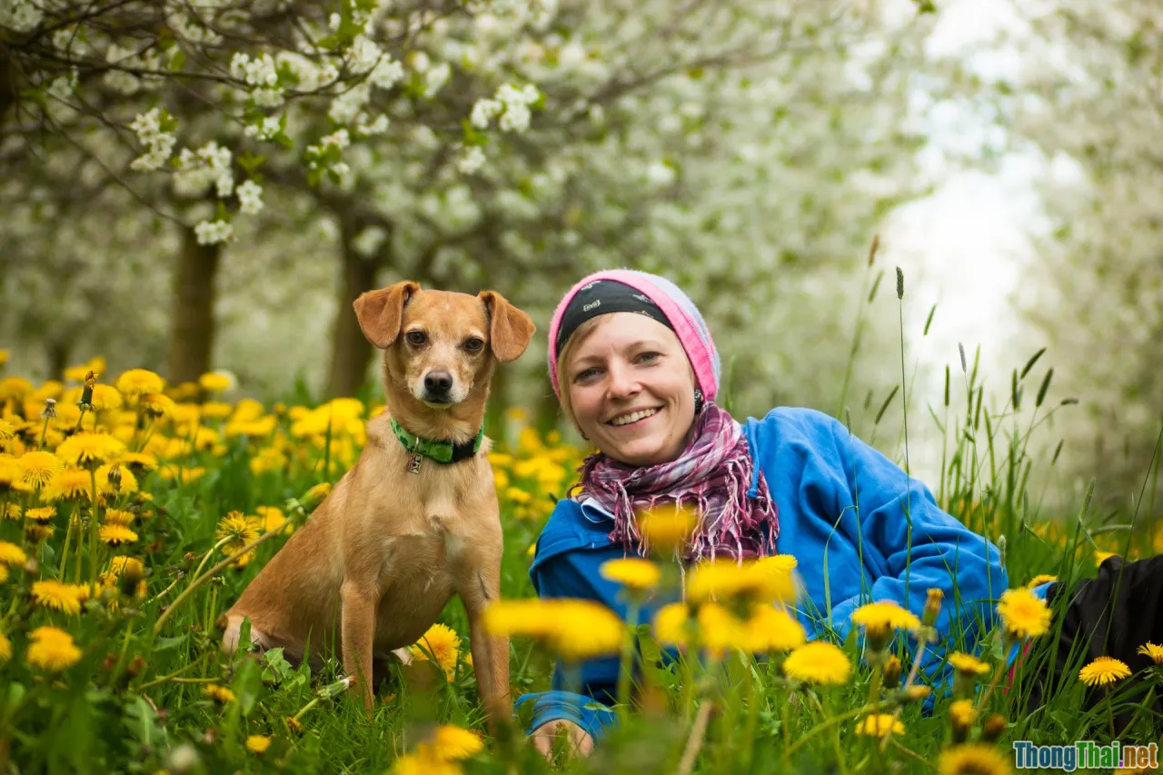 nature healing, animal human sunset