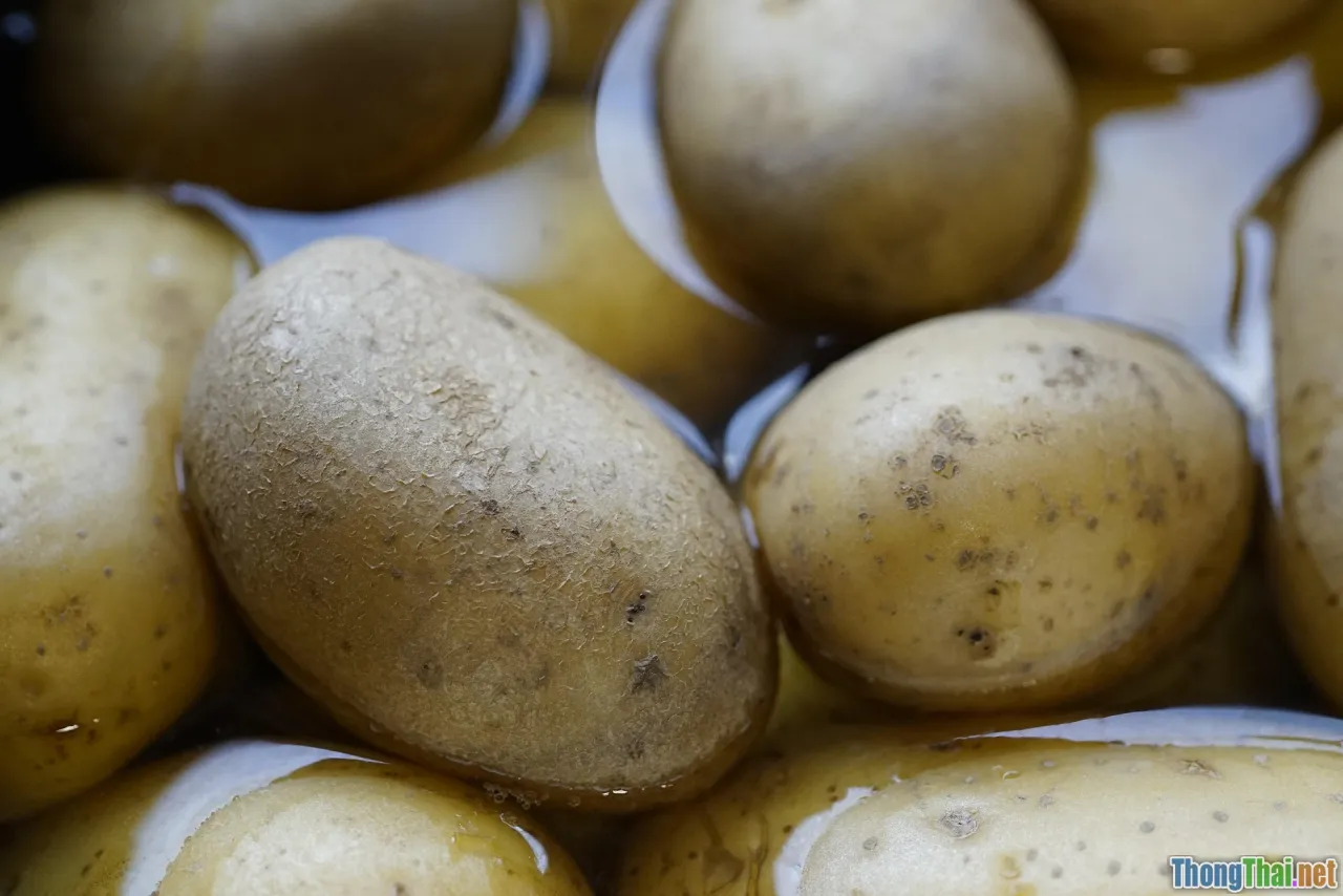 nutrition, muscle recovery, home gym food