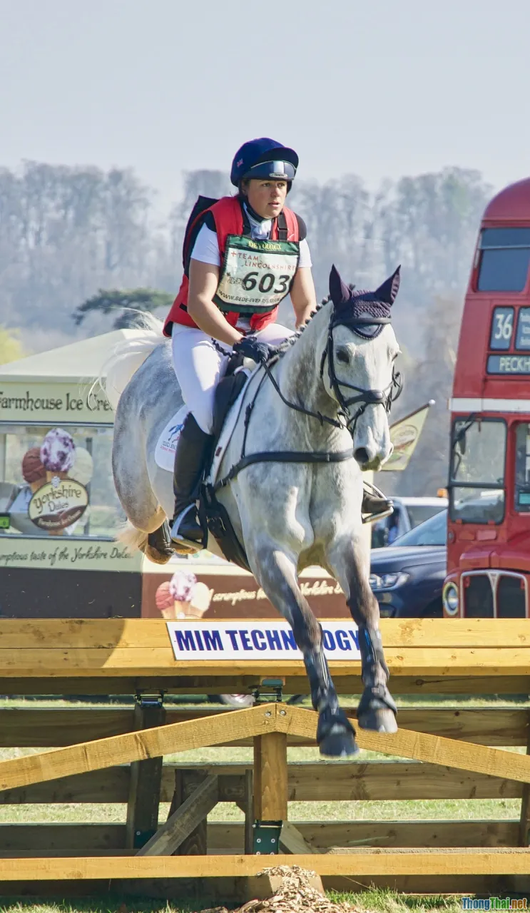 obstacles, challenge, nature therapy