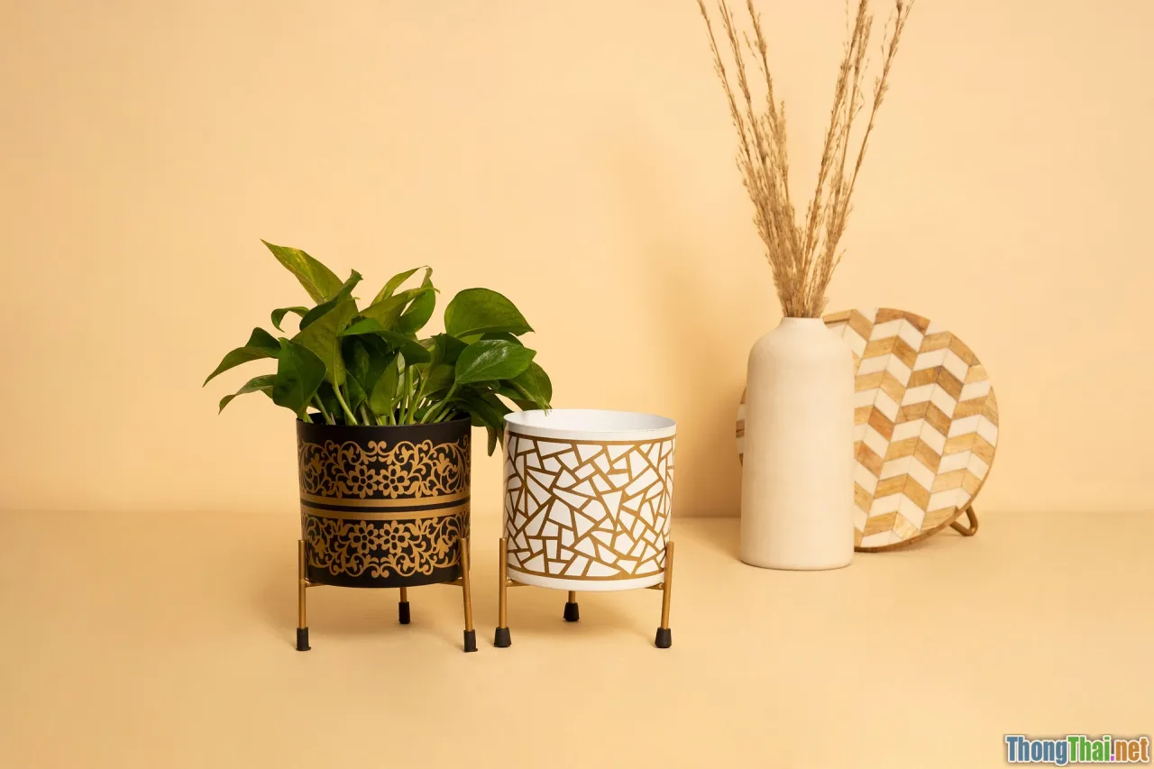 old sneakers planter, outdoor garden, quirky planters, upcycling shoes