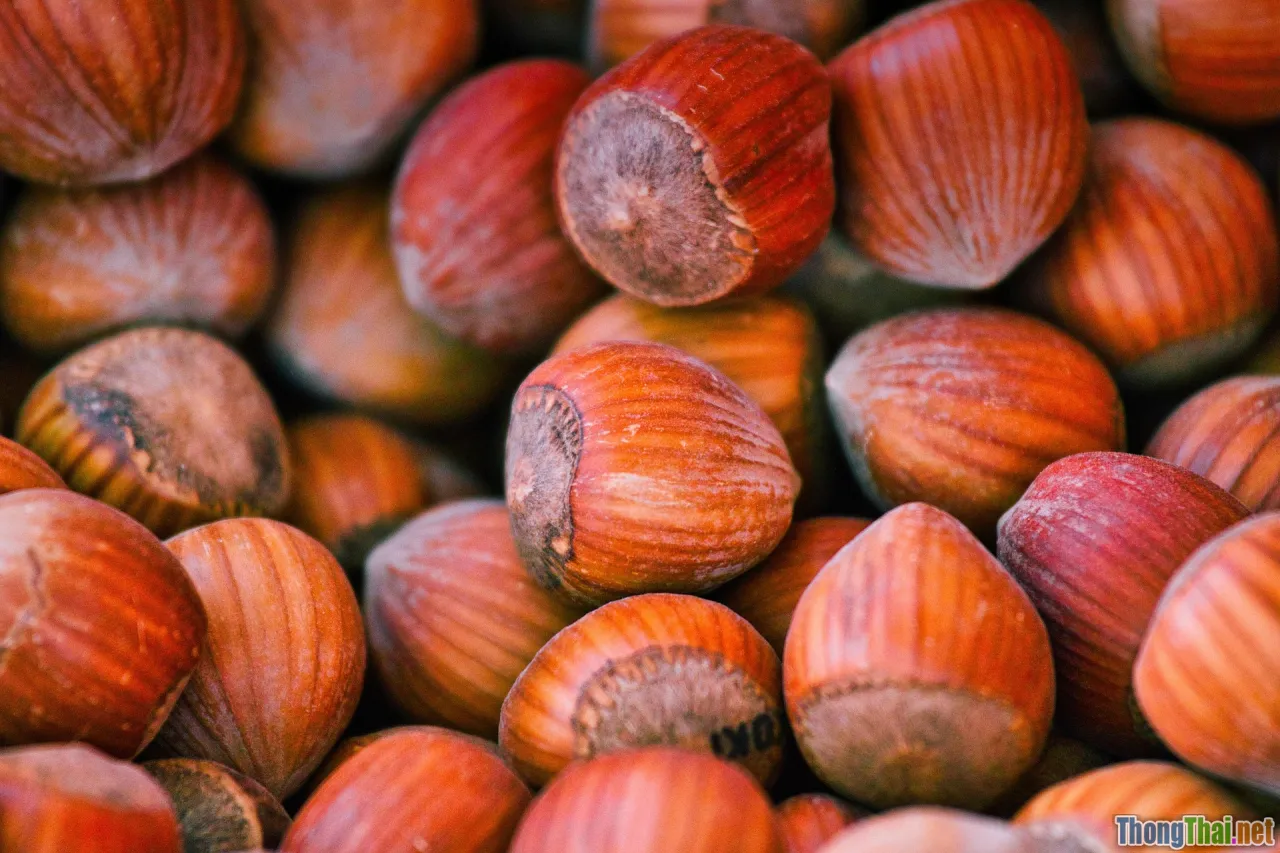 organic pet treats, natural dog cat snacks