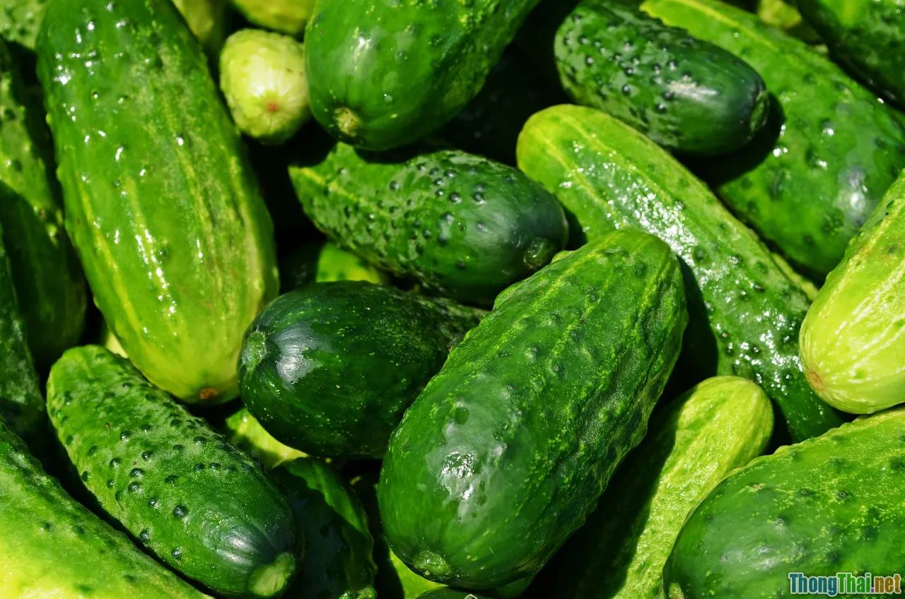 organic vegetables, healthy storage, eco farming