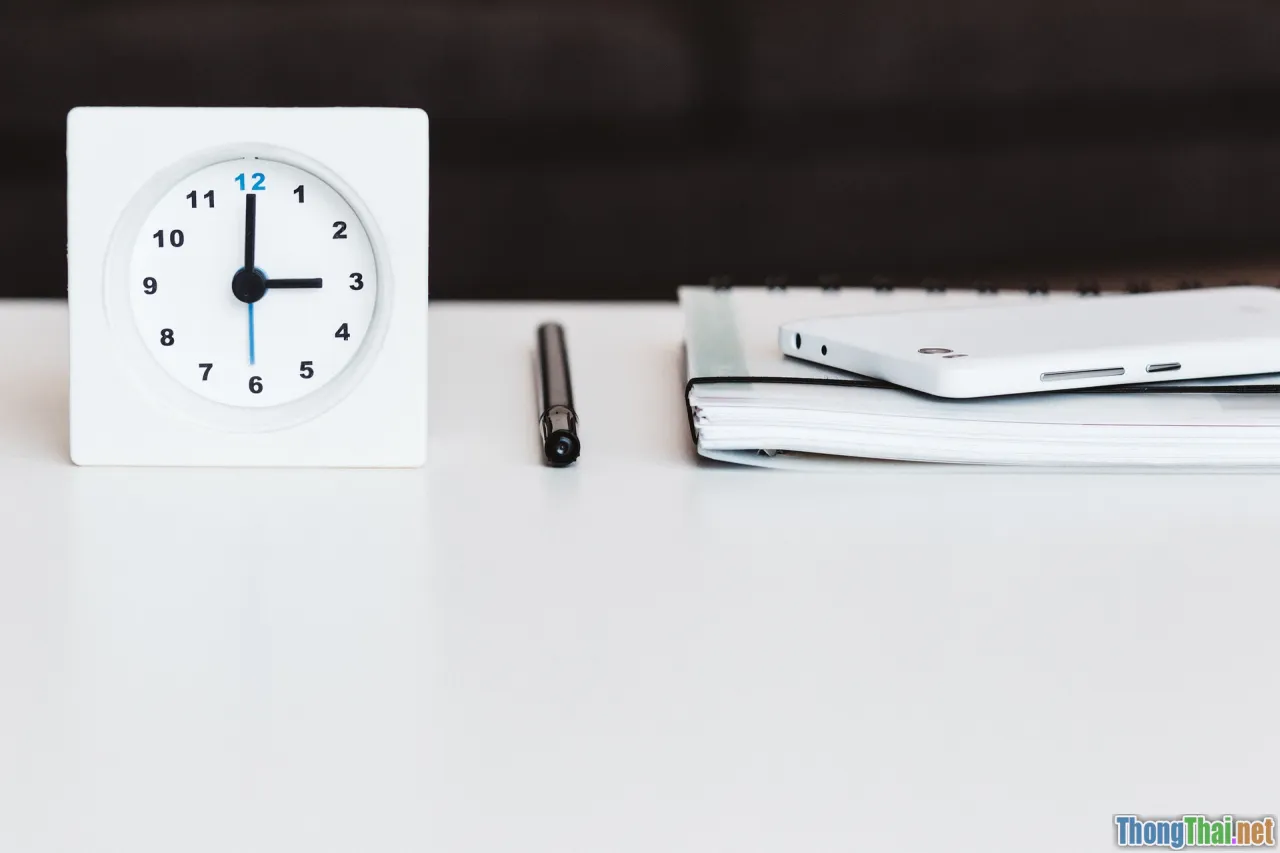 paragraph structure, essay plan