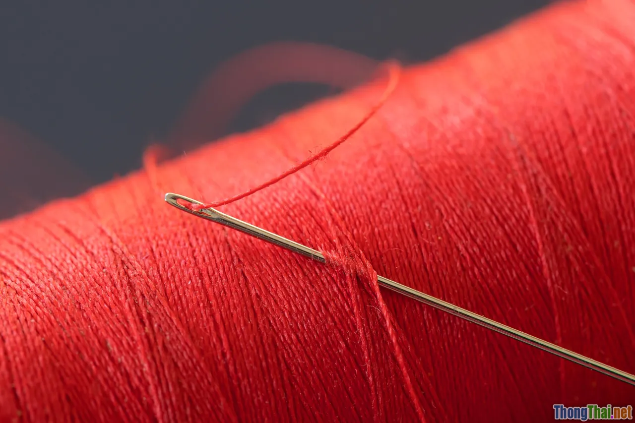 personality, temperament, tailoring, custom