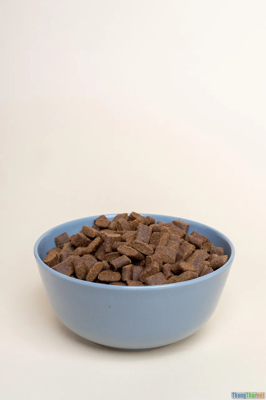 pet food comparison, barf vs kibble