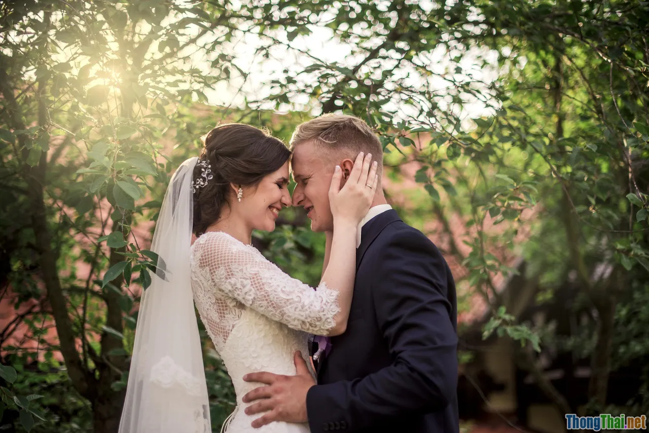 phishing, email scam