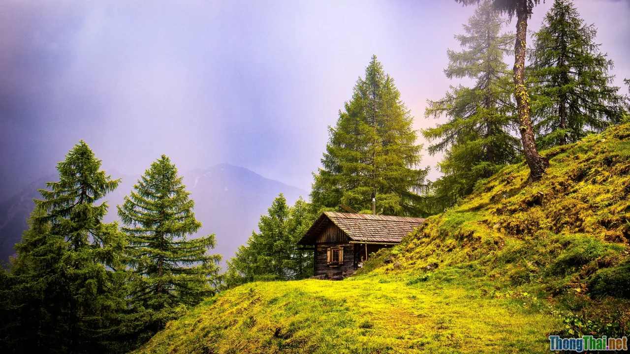 pine forest, misty lake, starry sky, mountain cabin