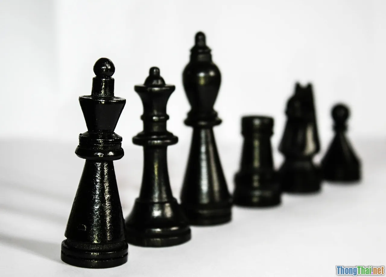 Làm sao đa hình giúp code ngắn hơn 30 phần trăm