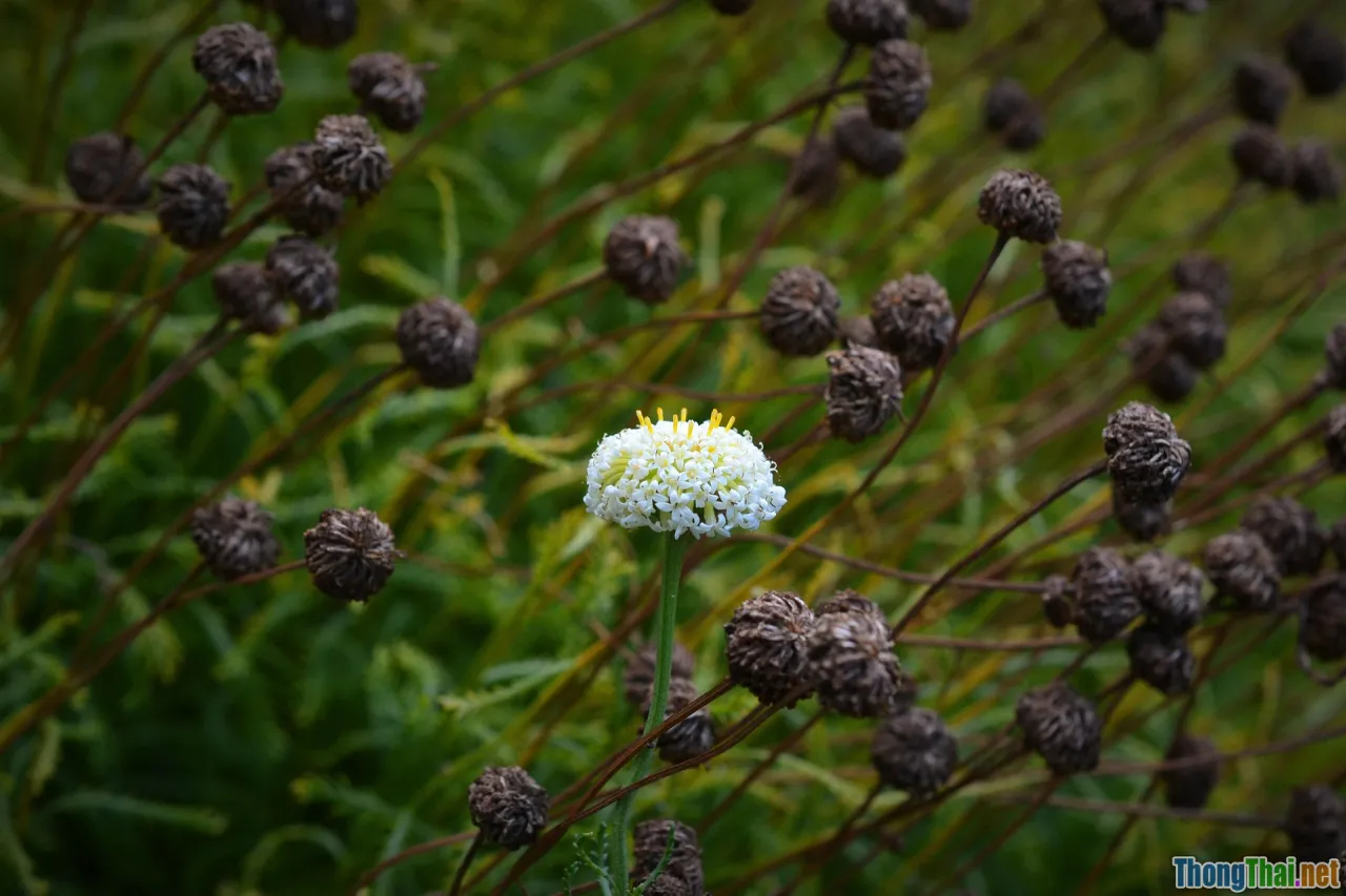 positioning, unique selling point, blue ocean