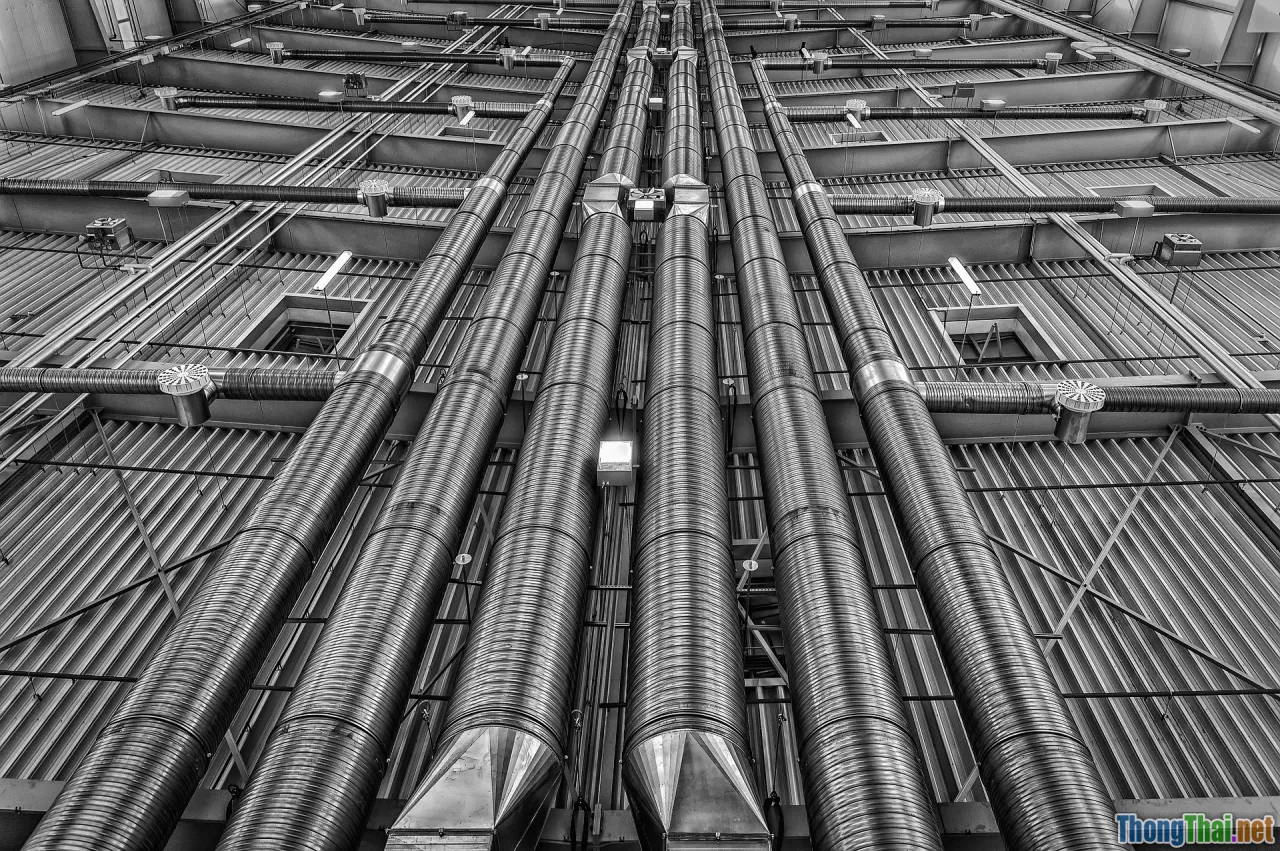 positive reinforcement, operant conditioning, timing