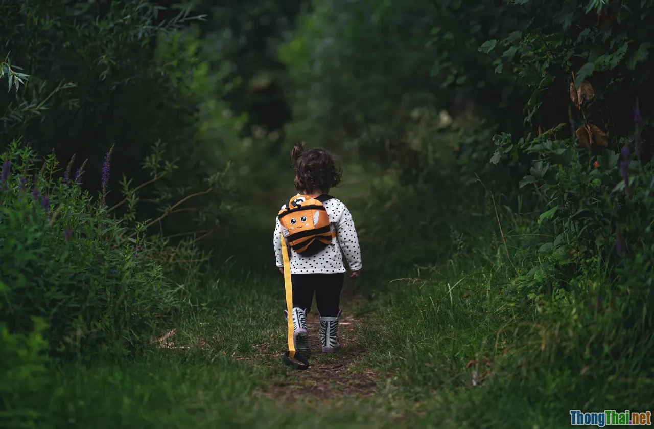 positive rewards, stickers, progress path, child engagement