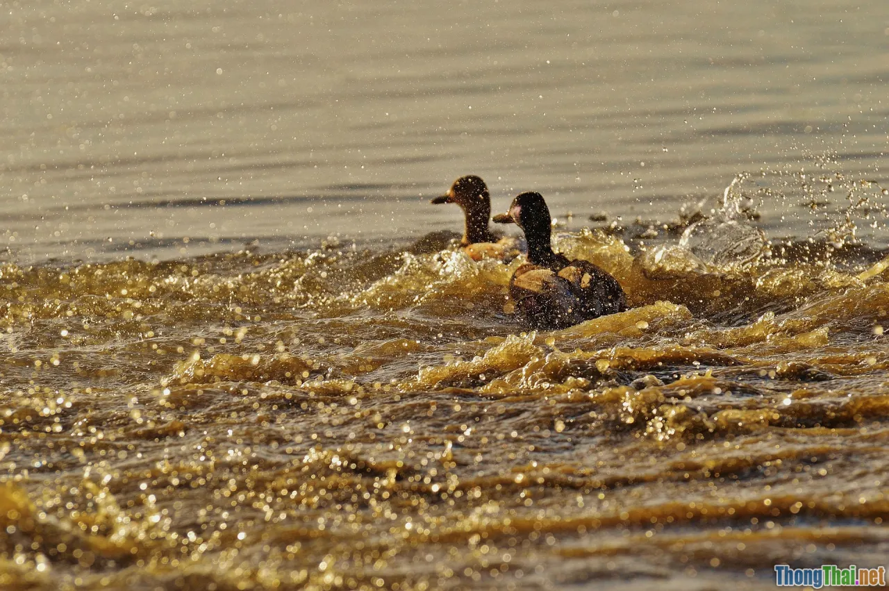 progress tracking, tracking app, analytics
