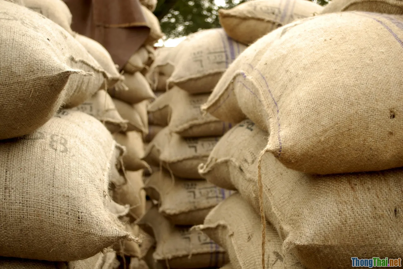 Q&A, questions, checklist, quick tips