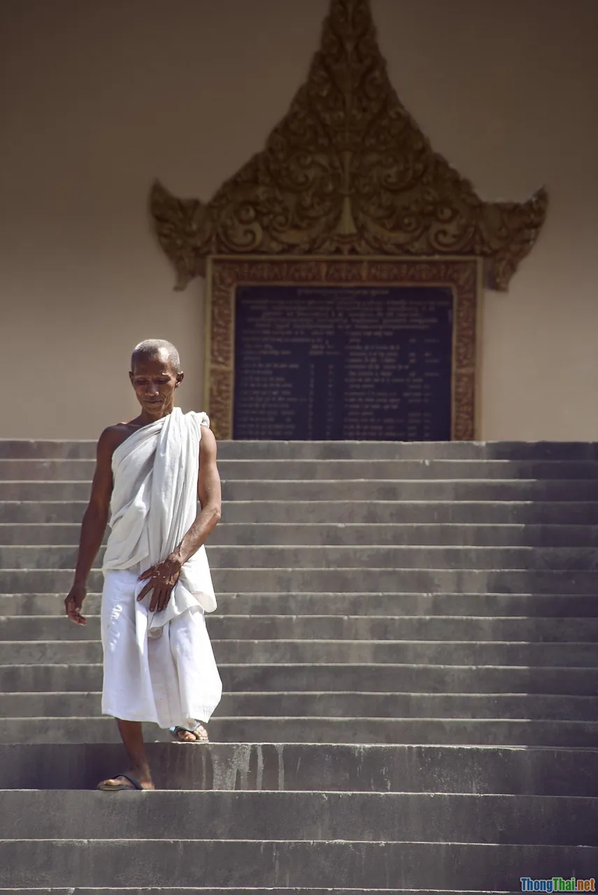 realistic wildlife, documentary truth