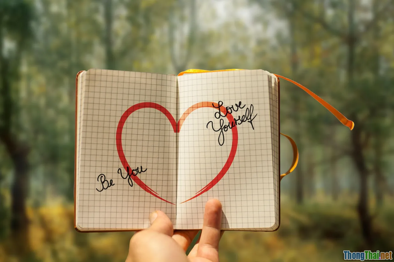 reflection, journal, inner self