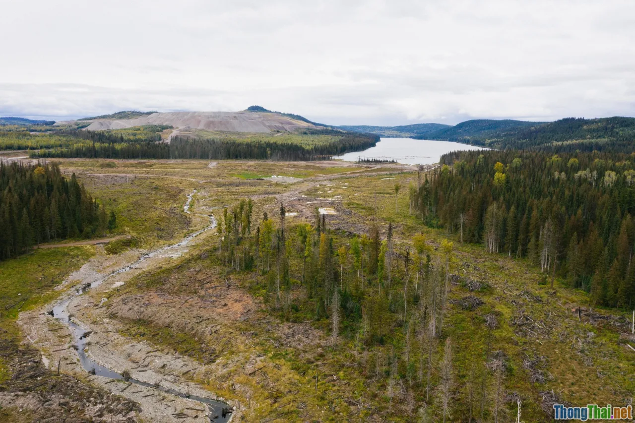 remediation, verification