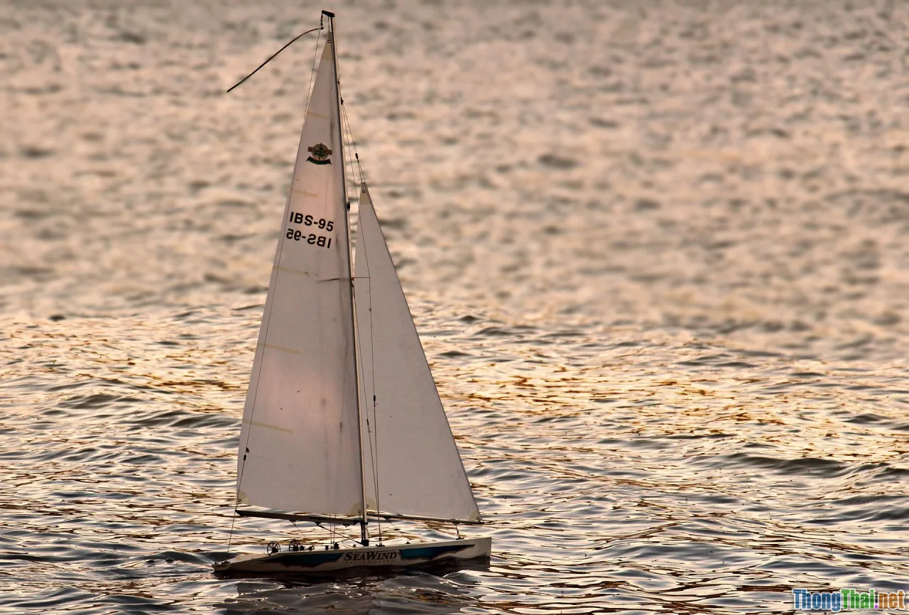 remote, international clients