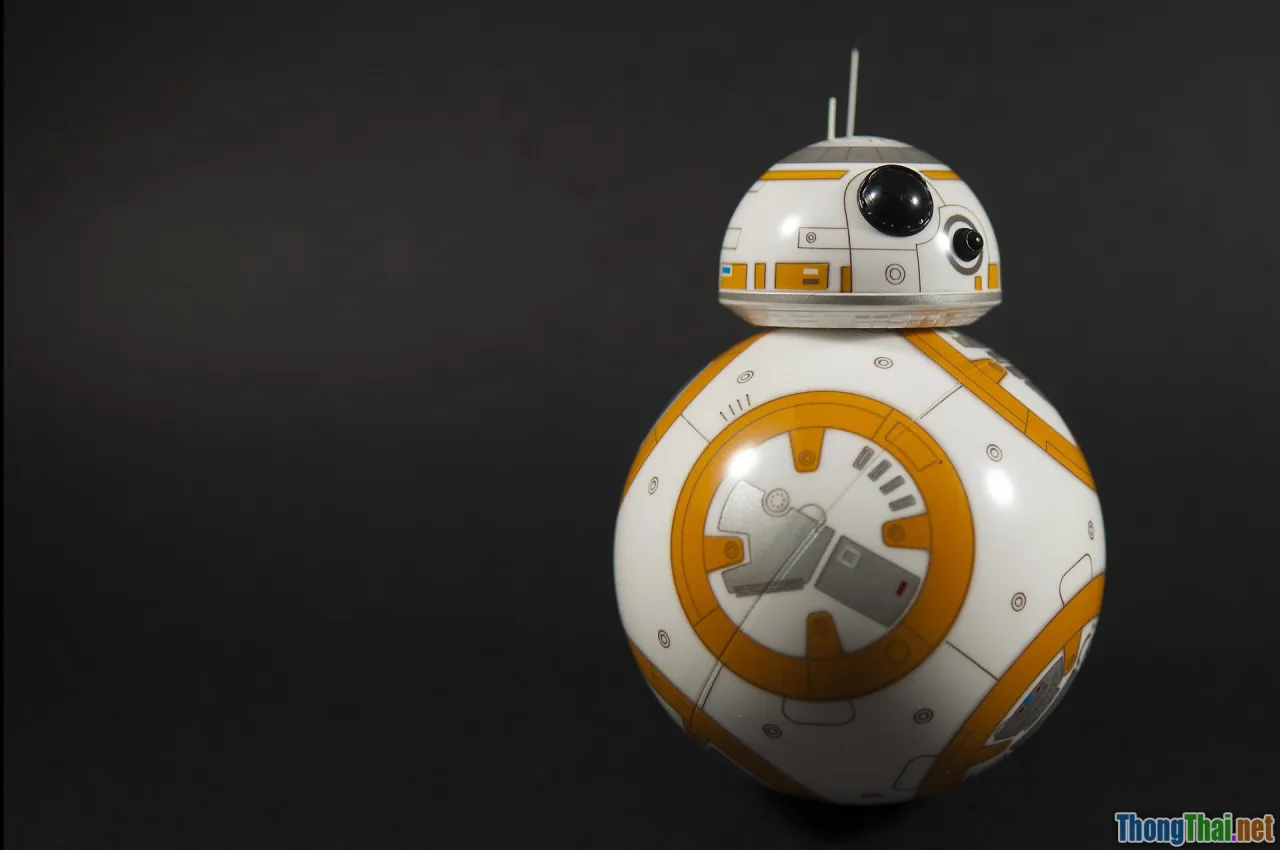 retention, lifecycle, D2C, community