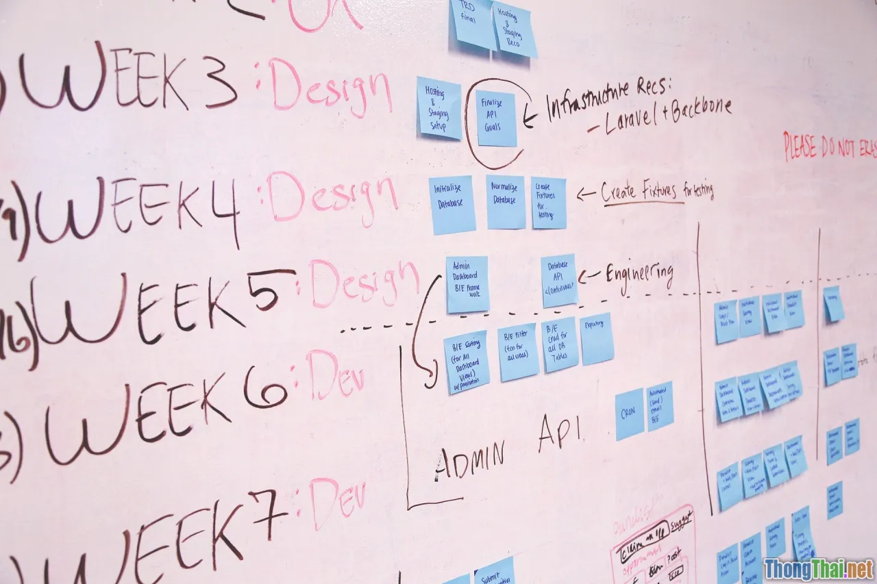 roadmap, timeline, launch plan, fulfillment